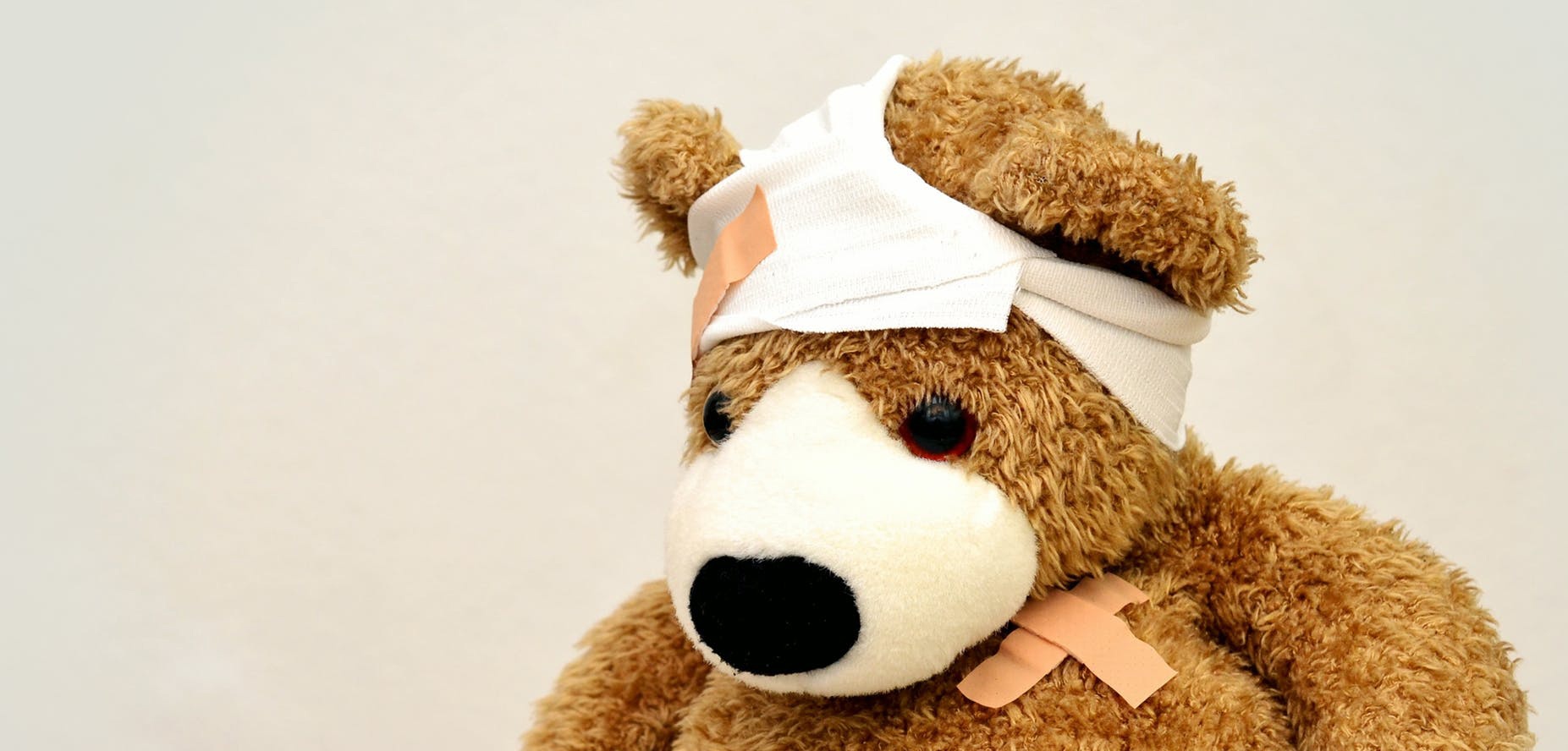 teddy-teddy-bear-association-ill-42230-1